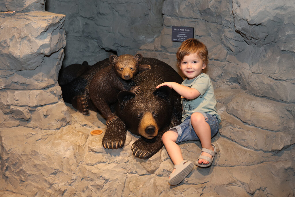 Child poses with bear sculpture at Cook Museum exhibit.